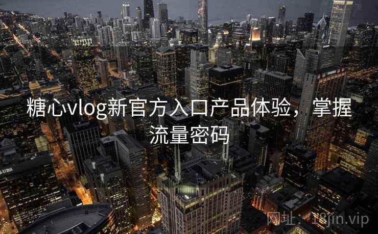 糖心vlog新官方入口产品体验,掌握流量密码