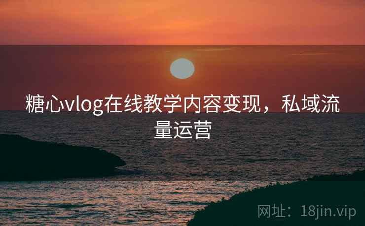 糖心vlog在线教学内容变现,私域流量运营